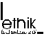fvethik